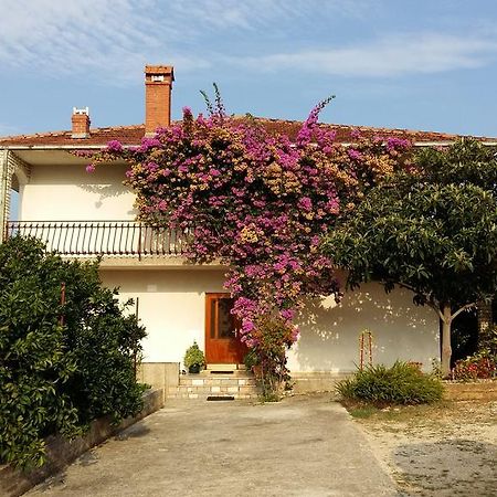 Ferienwohnung Apartman Dukic Trogir Exterior foto